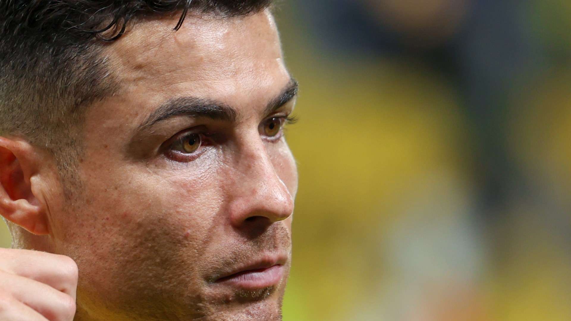 即便已是 即便已是