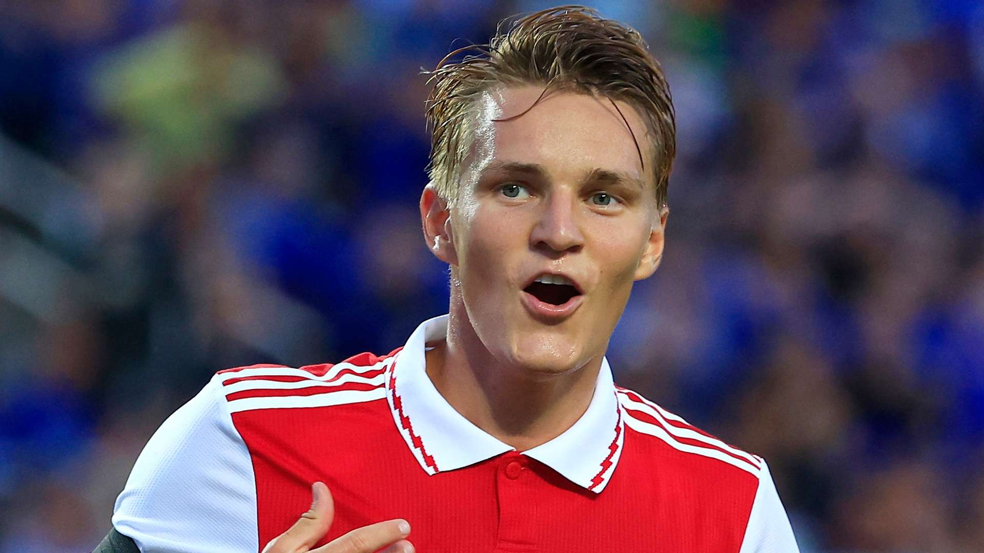 惊人的适应 惊人的适应